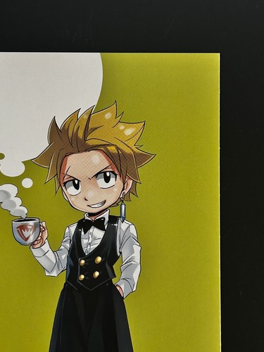 Tarjeta grande Sting Eucliffe Fairy Tail colección japonesa Hiro Mashima Limited - Imagen 4 de 11