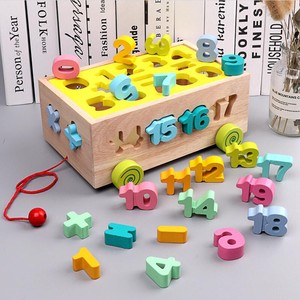 cognitive learning toys