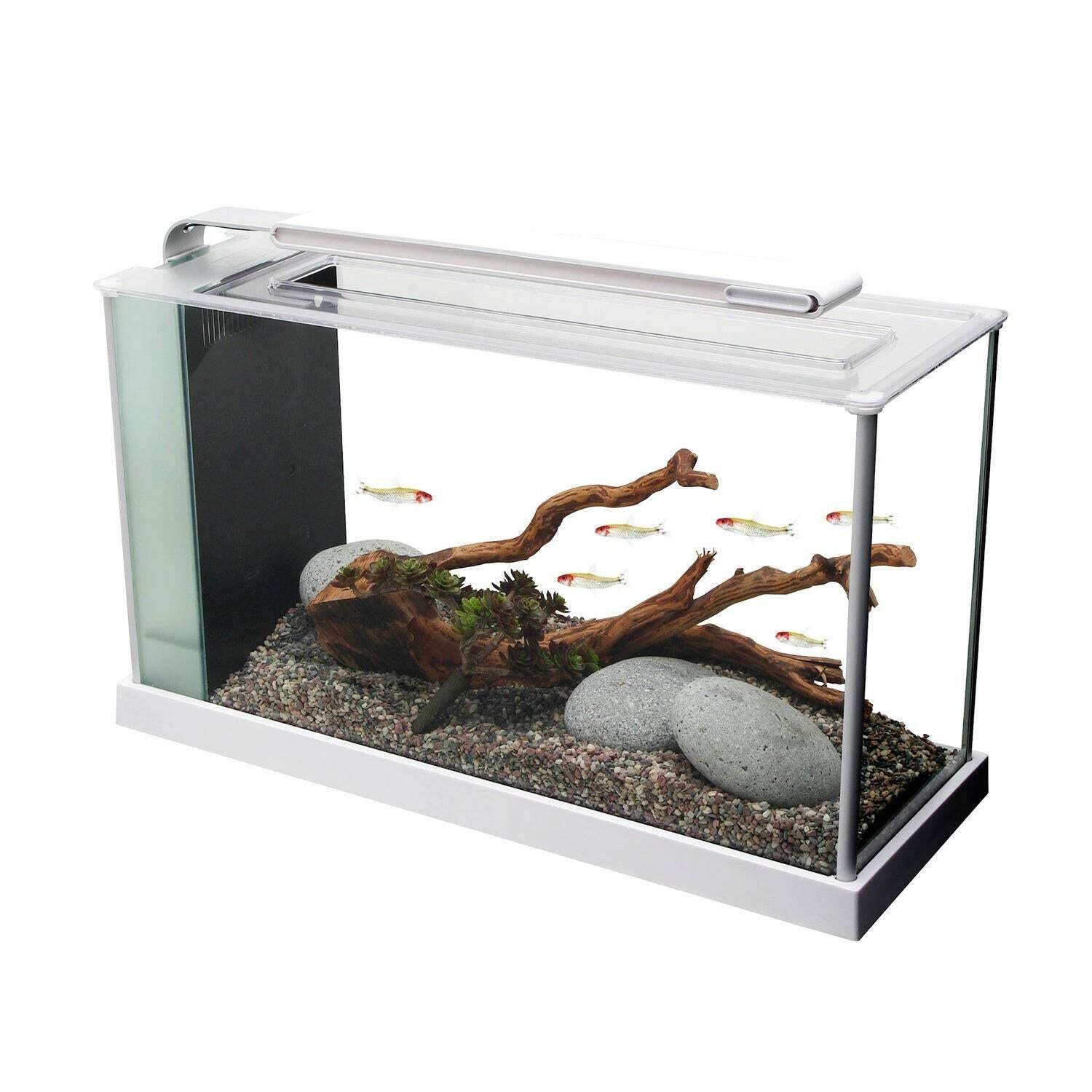 Fluval Spec 19 Litre Aquarium