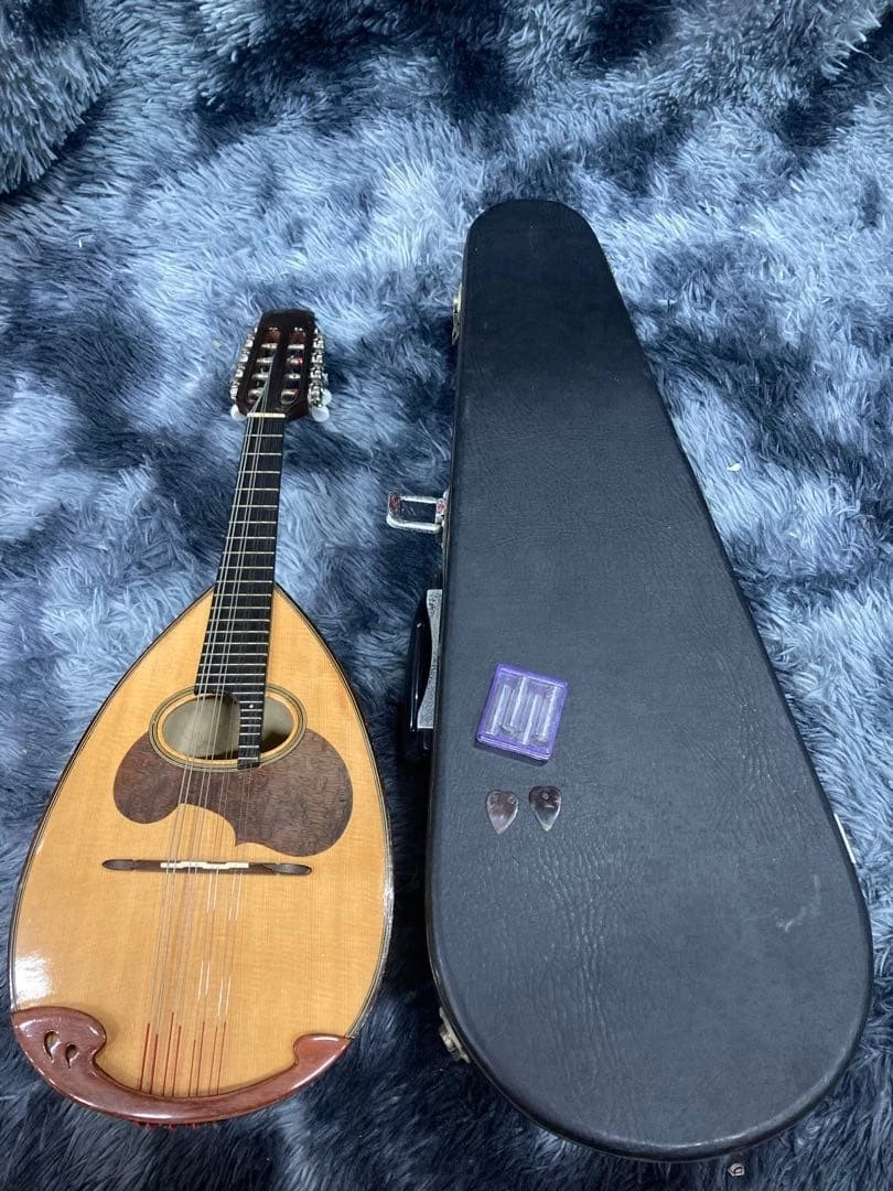 25+ Suzuki Mandolins for sale | Updated Oct 2026