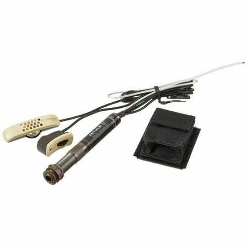 Morris W-28 With L.R Baggs Anthem Sl | eBay UK