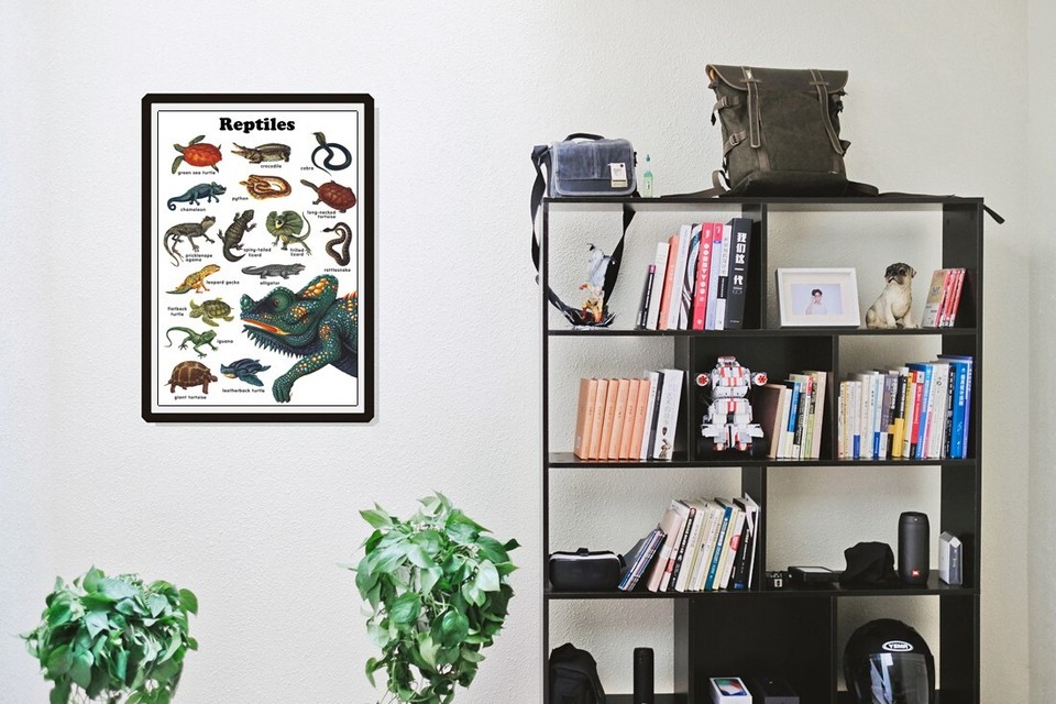 Reptiles Poster, Snake, Alligator, Turtle, Lizard, Reptiles, Art Print ...