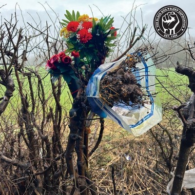 The Black Dog Sleep Deprivation Records & LPs New