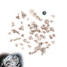 100pcs Watch Battery Clamp Screws, Watch Battery Clamp Tiny Small Screw