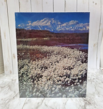 MT. MCKINLEY DENALI NATIONAL PARK, ALASKA  500 Pc Puzzle