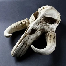 Star Wars The Mandalorian Mythosaur Skull 17" Replica Wall Sculpture