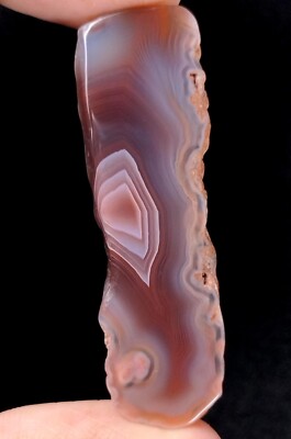 Natural Rare Botswana Agate Fancy Slice Flat Gemstone Crystal Specimen