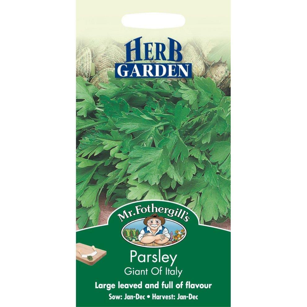 Mr Fothergills Parsley Seeds Giant Of Italy Hardy Perennial Grow Your Own Herbs