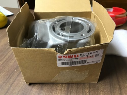 GENUINE YAMAHA 2005-2021 YZ125 YZ 125X CYLINDER ASSY JUG 1C3-11311-21-00