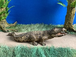 Schleich #14736 Crocodile Figure w/ Movable Jaw - D-73527 Wildlife 2014 - 7"