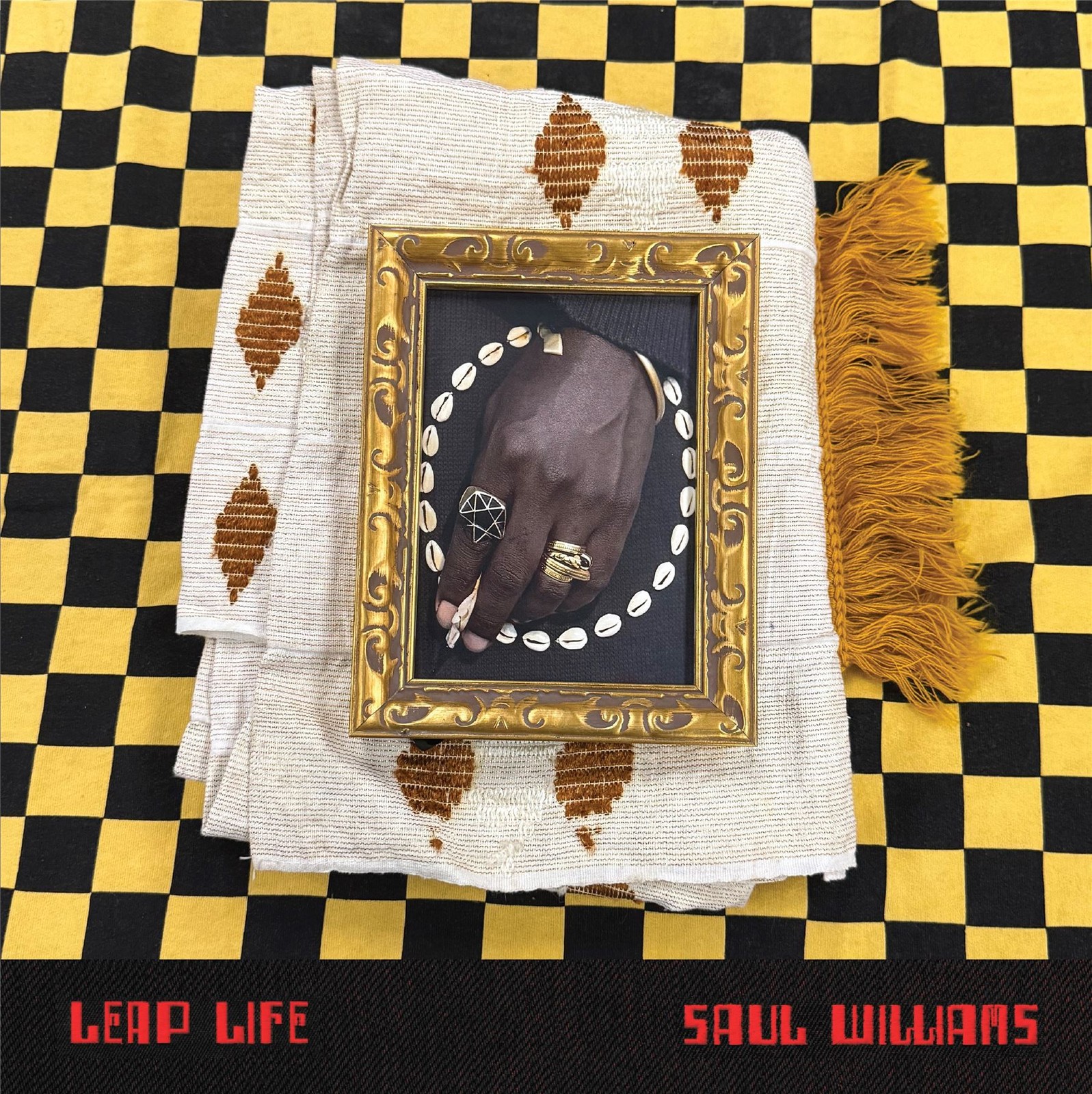 Saul Williams - Leap Life (Ninja Tune) CD Album - Pre-sale