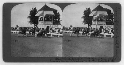 Dan Patch (in rear - next pole), king of light harness horses brea- Old Photo