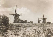 Postcard RPPC Netherland Kinderdijk windmills Holland Real Photo
