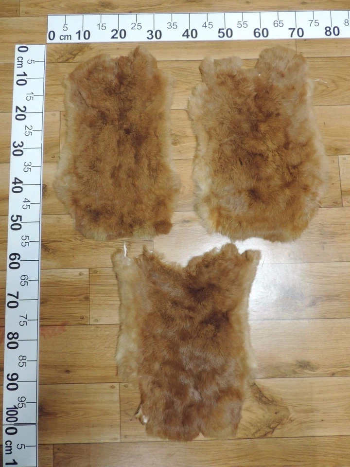 PROVELLUS TOP XXL pelliccia di coniglio pelliccia di coniglio pelliccia di coniglio razza: rosso neozelandese