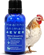 All-Natural Chicken Respiratory Support Supplement - Effective Homeopathic Breat