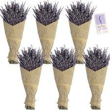 6 Packs Natural Dried Lavender Flowers Bouquet with Stems 14-17 Inches, 540-6...