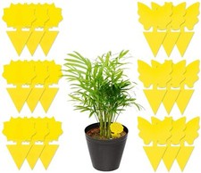 Sticky Fruit Fly Traps, Fungus Gnat Killer Trap use for Indoor Outdoor