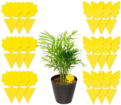 Sticky Fruit Fly Traps, Fungus Gnat Killer Trap use for Indoor Outdoor |  eBay