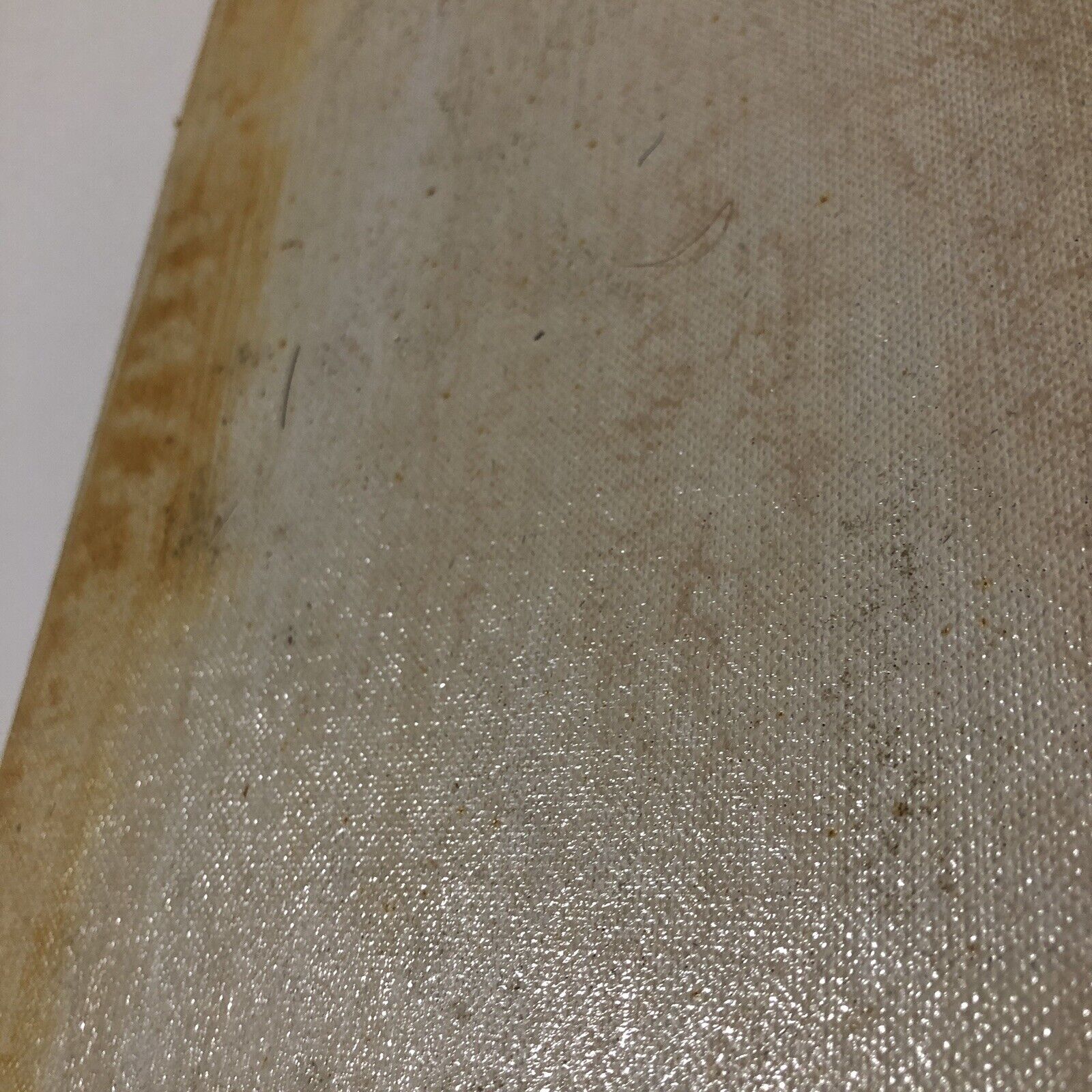 Picture 3 of 6