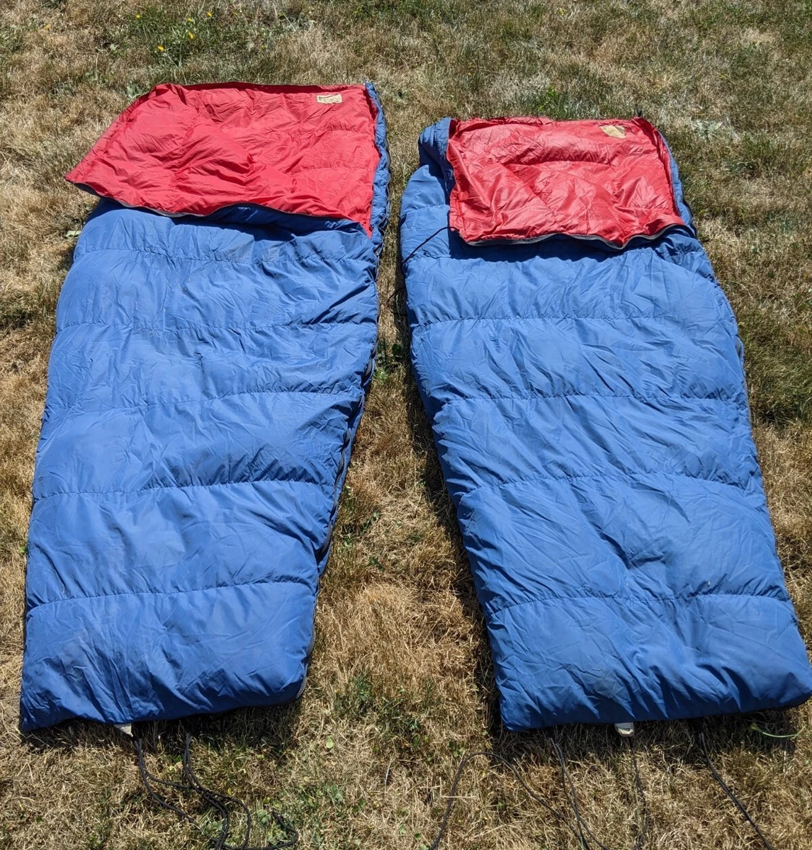 Top more than 148 rei travel sack sleeping bag latest 3tdesign.edu.vn