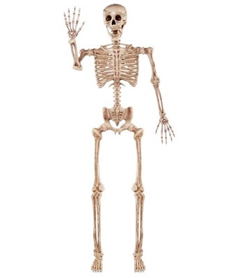 83Inch Halloween LifeSize Posable Skeleton Bones with Moveable Joints Brown