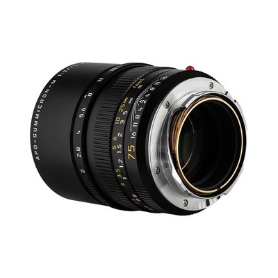 Leica APO-SUMMICRON-M 75mm f/2 Lens for sale online | eBay