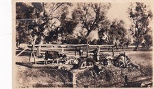 Egypt Egyptian Irrigating Wheel RPPC Real Photo Postcard F20