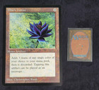 Black Lotus - Oversized Promo - Near Mint [MTG TCG]