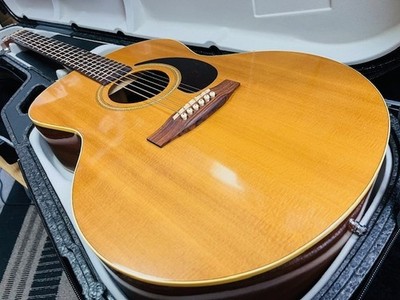 Super special bargain item! ! Seagull MJM6 Mini Jumbo! ! Godin Rare acoustic