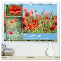 Thomas Deter | Mohnblumen (Hochwertiger Premium Wandkalender 2026 Din A2...