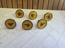 Set of 6 Vintage Style Decorative Cabinet Knobs   Amber Resin Floral Design