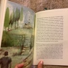 Foto 6 di 9
