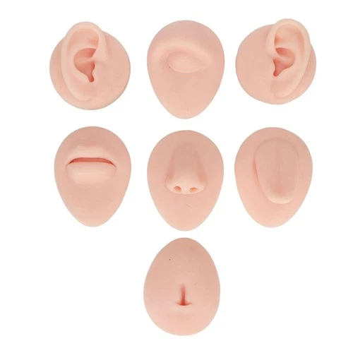 Silicone Piercing Body Model, Piercing Practice Kit for Novice, Including 7 Body - product listing photo