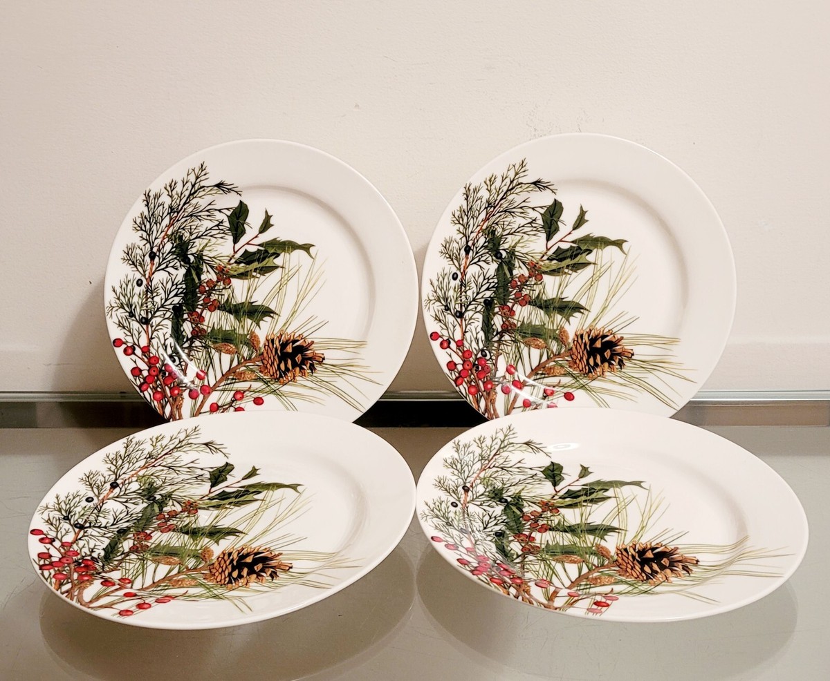 Salad Plates William Sonoma Melamine Bowls Medina Melamine Salad