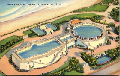 Aerial View of Marine Studios Marineland Florida Vintage Postcard