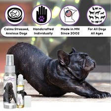 French Bulldog Relax Dog Aromatherapy Calms Anxious Frenchies Naturally