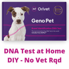 Orivet Genopet- Dog DNA Breed ID Test Kit + Life Plan