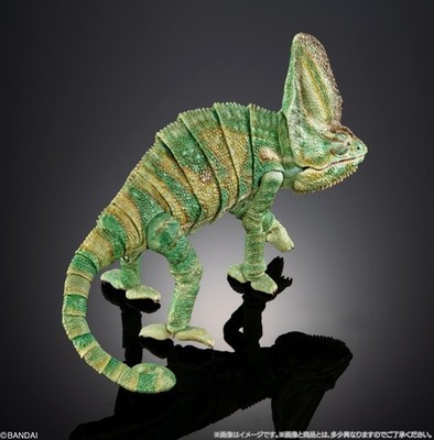 New Premium BANDAI The Diversity of Life on Earth Veiled Chameleon