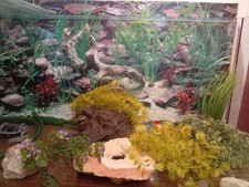 Aquarium 160L 100/40/40 Unterschrank, Filter, Pumpe, künstl. Pflanzen + Zubehör