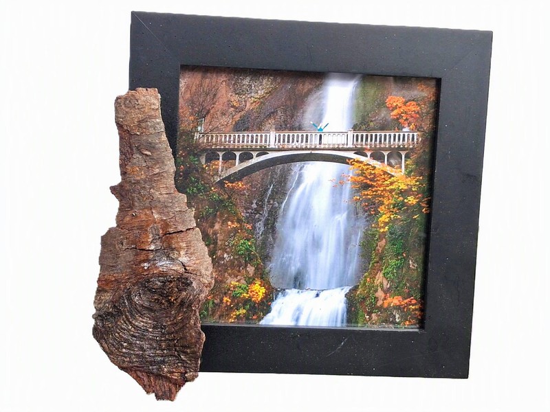 Bark Trmmed Picture Frame