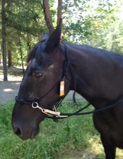 Bitless Bridle 4 Knot Rope Halter Sidepull w Roping Barrel Contest Rein Clip AHE