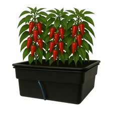 ECHO Cultivation  Hydroponic grow system complete Flood Table (ebb and flow).