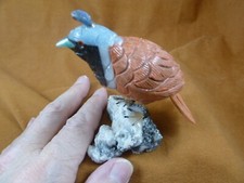 (Y-BIR-QU-48) Codorniz Bronceado Azul Negro Pájaro Piedra Preciosa Figura Perú Codornices