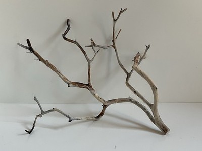 Manzanita Driftwood, Reptile Tank Decor,  Aquascape, Terrarium, Aquarium Wood