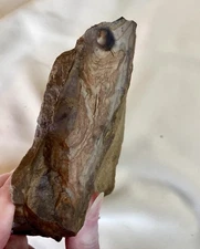 3.56 lb Biggs Picture Jasper  Lapidary Rough from Biggs, Oregon