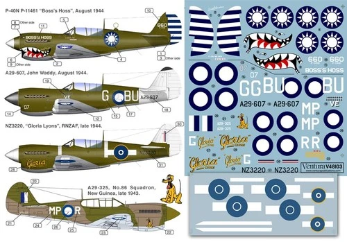 RNZAF P-40 Gloria Lyons + AVG Chinese + RAAF P-40. 1/48th scale (V48103)