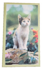 HALLMARK  1970s KITTEN Cat Photo album w/ sle...