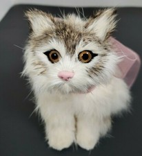 Hermoso gato gatito angora persa 5" suave piel de conejo sentado