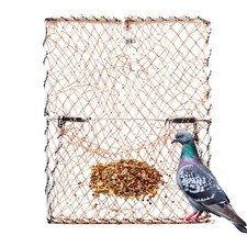 New Bird Trap Catcher Basket Quail Birds Cleave Garden Supplies Pigeon Hunting