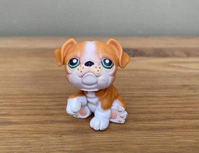Littlest Pet Shop unnummeriert Costco Tragetasche Bonus Bulldogge grüne Augen RAR